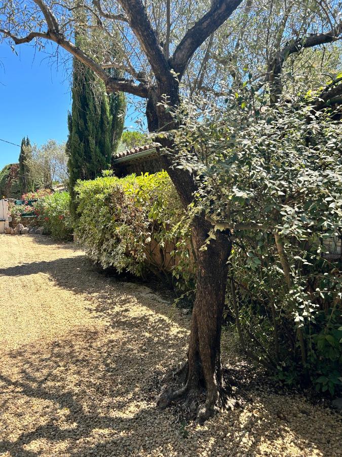 Villa De Charme En Campagne Avec Piscine Privee Et Nature Luxuriante Le Beausset Exterior foto