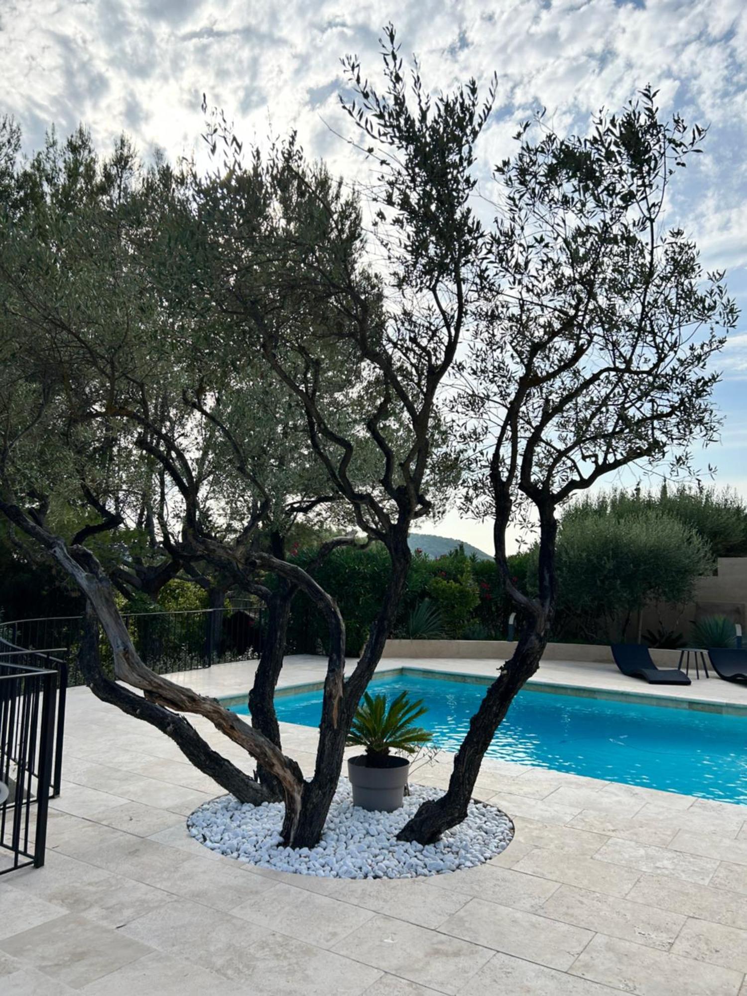 Villa De Charme En Campagne Avec Piscine Privee Et Nature Luxuriante Le Beausset Exterior foto